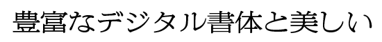 朝日新聞明朝 R