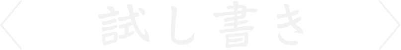 試し書き